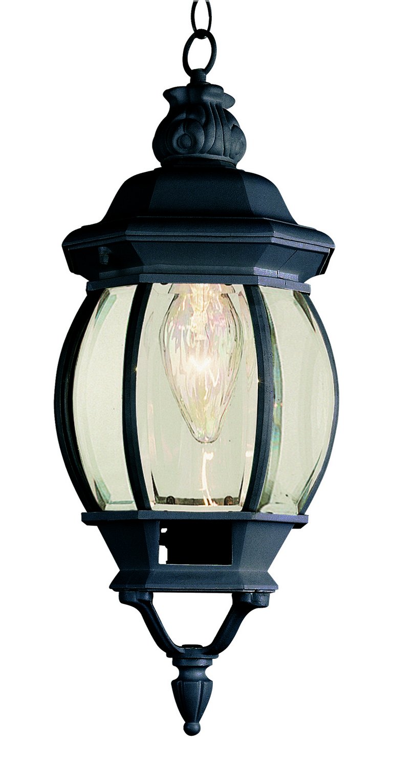 Parsons 1-Light 6.5" Outdoor Hanging Lantern in Black