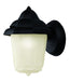 Dale 1-Light Wall Lantern in Black with Frosted Glass