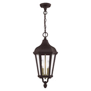 Morgan 2-Light Medium Outdoor Pendant Lantern in Bronze with Antique Gold Finish Cluster