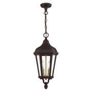 Morgan 2-Light Medium Outdoor Pendant Lantern in Bronze with Antique Gold Finish Cluster
