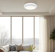 Quasars 1 Light 16" Flush Mount in Matte White in a room setting