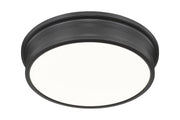 Bentley 1 Light 20" Flush Mount in Matte Black