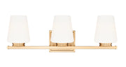 Nextra 3 Light 24" Vanity Light in Modern Gold