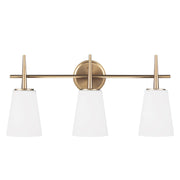 Driscoll Three Light Wall / Bath in Satin Brass