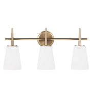Driscoll 3-Light Bath Vanity Light in Satin Brass