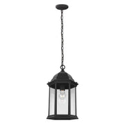 Sevier Clear Glass Outdoor Lantern Pendant in Black