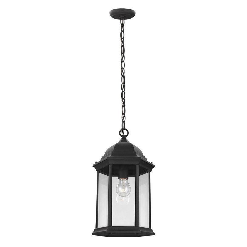 Sevier Clear Glass Outdoor Lantern Pendant in Black