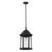 Sevier One Light Outdoor Pendant in Black