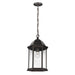 Sevier One Light Outdoor Pendant in Antique Bronze