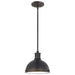 Pratt Street Metal One Light Pendant in Autumn Bronze
