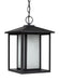 Hunnington One Light Outdoor Pendant in Black