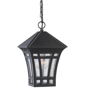 Herrington Etched Glass Outdoor Lantern Pendant in Black