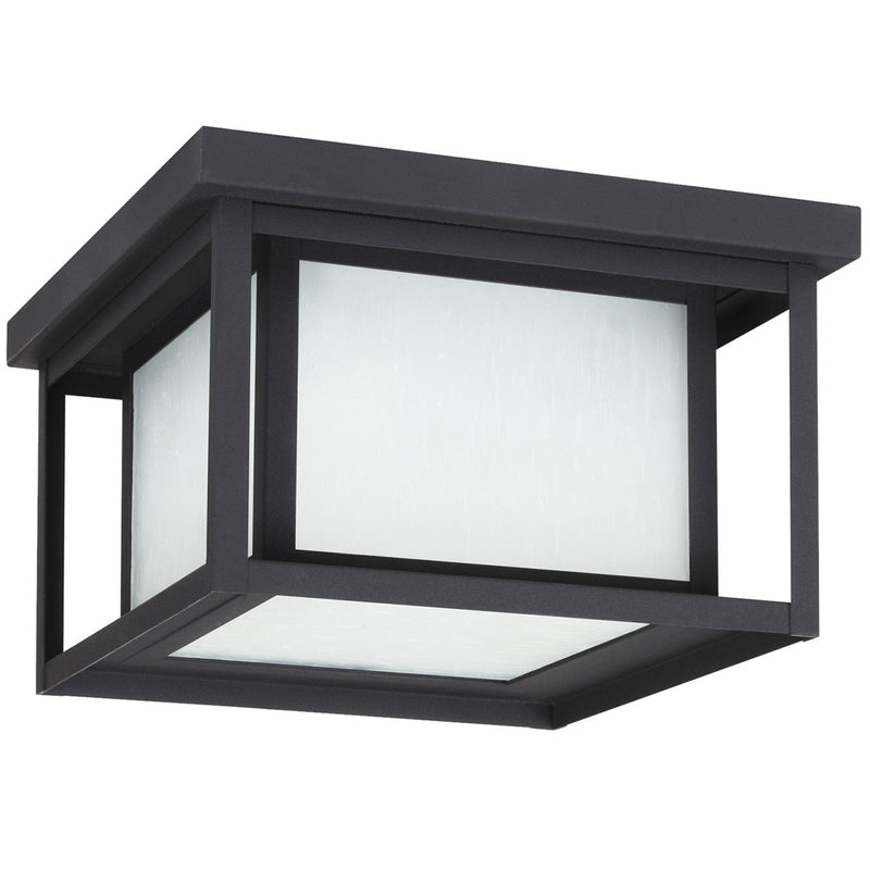 Hunnington 2-Light Etched Seeded Outdoor Flush Mount in Black