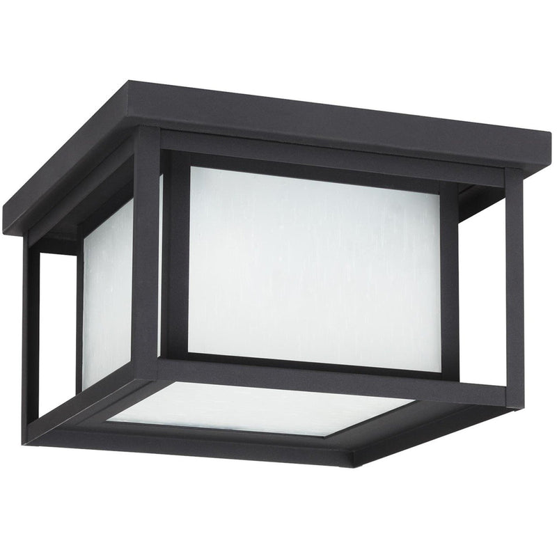Hunnington 2-Light Etched Seeded Outdoor Flush Mount in Black