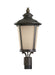 Cape May One Light Outdoor Post Lantern in Burled Iron