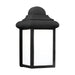 Mullberry Hill One Light Outdoor Wall Lantern in Black