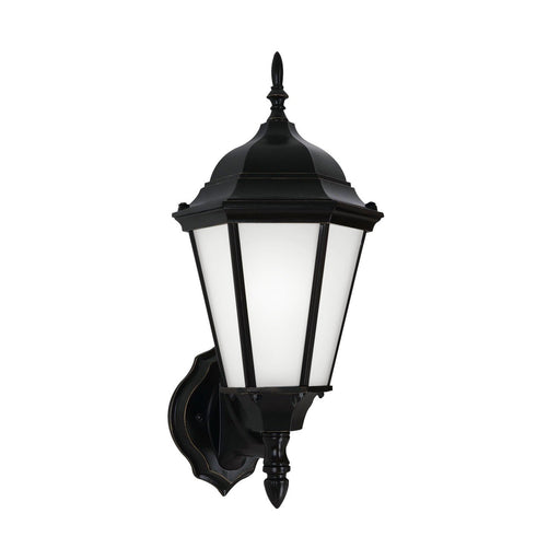 Bakersville 17" Satin Etched Outdoor Wall Lantern in Black