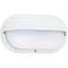 Bayside One Light Outdoor Wall Lantern in White