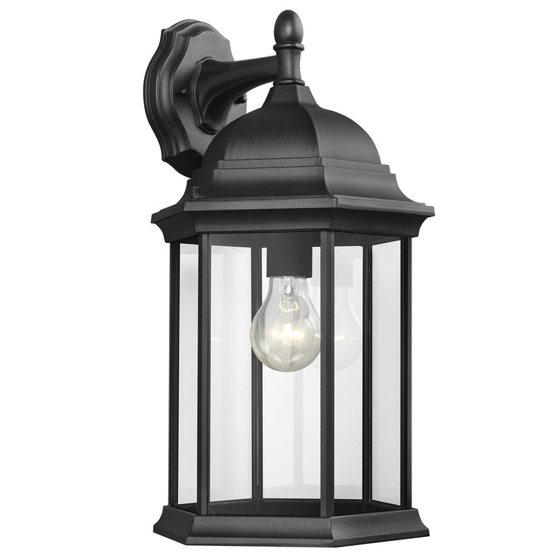 Sevier 18.75" Clear Glass Outdoor Wall Lantern in Black