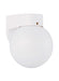 Outdoor Wall One Light Outdoor Wall Lantern in White