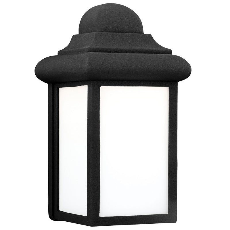 Mullberry Hill Smooth White Glass Outdoor Wall Lantern in Black
