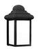 Mullberry Hill One Light Outdoor Wall Lantern in Black