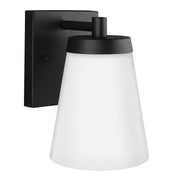 Renville 7.4" Outdoor Wall Lantern in Black
