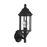 Sevier 16.25" Clear Glass Outdoor Wall Lantern in Black