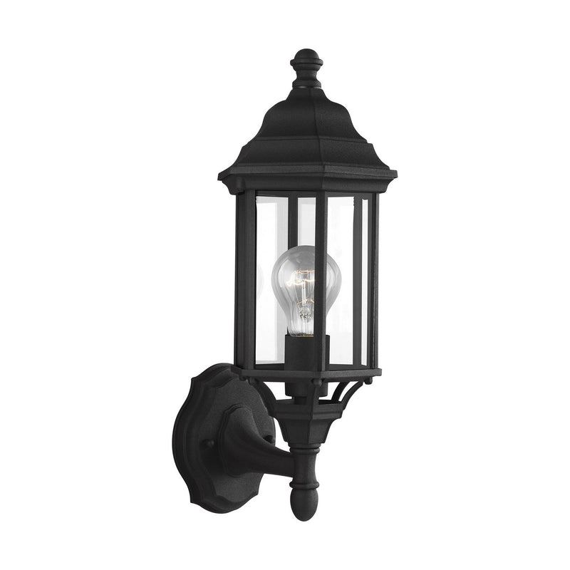 Sevier 16.25" Clear Glass Outdoor Wall Lantern in Black