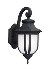 Childress Medium Outdoor Wall Lantern in Black
