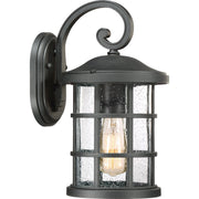 Crusade Medium Outdoor Wall Lantern in Earth Black