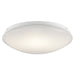 Ceiling Space Flush Mount LED in White