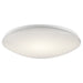 Ceiling Space Flush Mount LED in White