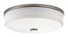 Ceiling Space Flush Mount LED in Brushed Nickel