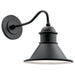 Northland Outdoor Wall 1-Light in Black