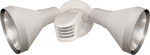 2 Light Par38 Floodlight in White