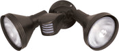 2 Light Par38 Floodlight in Bronze