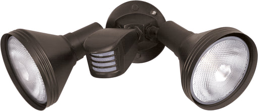 2 Light Par38 Floodlight in Bronze
