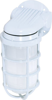9" Frosted Glass Outdoor Wall Sconce in White