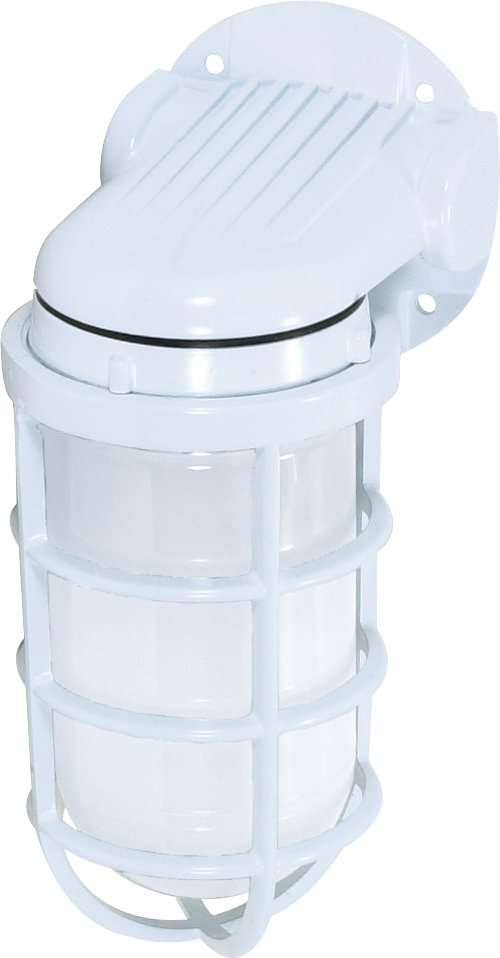 9" Frosted Glass Outdoor Wall Sconce in White