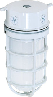 4.25" Frosted Cylinder Outdoor Ceiling Light in White