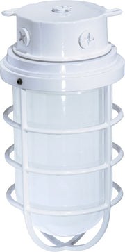 5.5" Frosted Cylinder Outdoor Ceiling Light in White