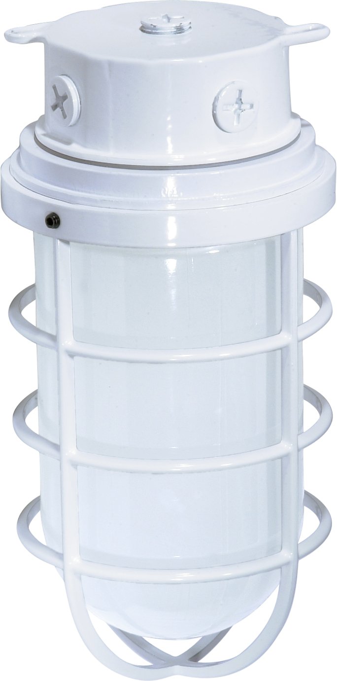 5.5" Frosted Cylinder Outdoor Ceiling Light in White