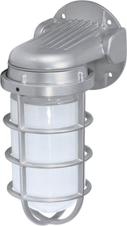 9" Frosted Glass Outdoor Wall Sconce in Metallic Silver