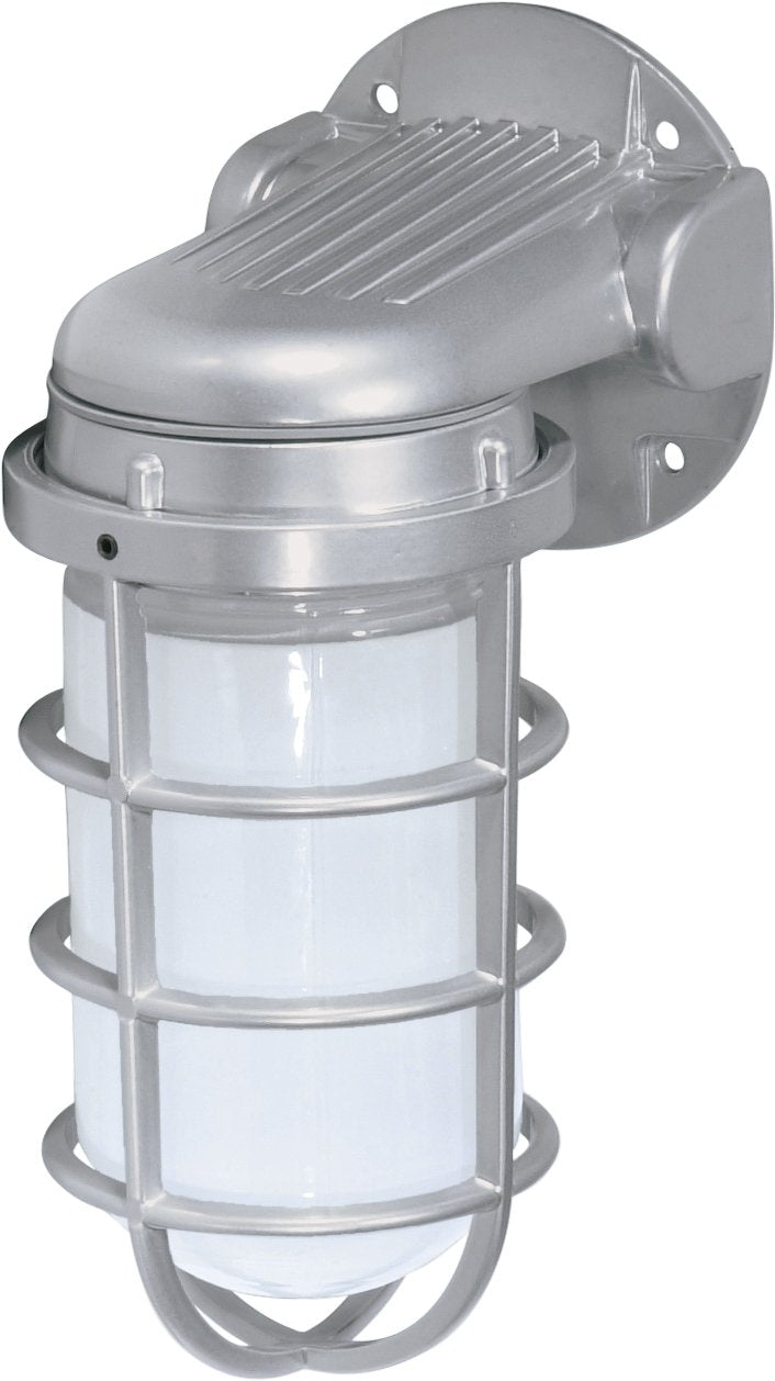 9" Frosted Glass Outdoor Wall Sconce in Metallic Silver
