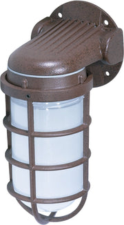 9" Frosted Glass Outdoor Wall Sconce in Old Bronze