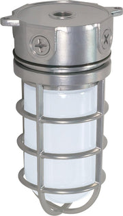 4.25" Frosted Cylinder Outdoor Ceiling Light in Metallic Silver