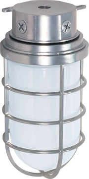 5.5" Frosted Cylinder Outdoor Ceiling Light in Metallic Silver