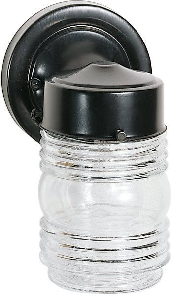 Clear Ribbed Glass Outdoor Wall Lantern in Black