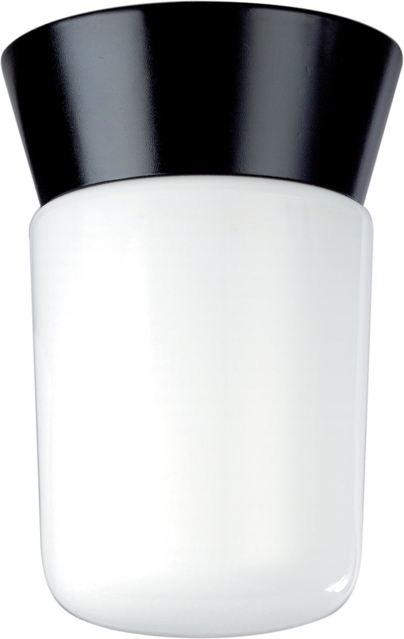 4.25" Cylinder Outdoor Flush Mount in Black